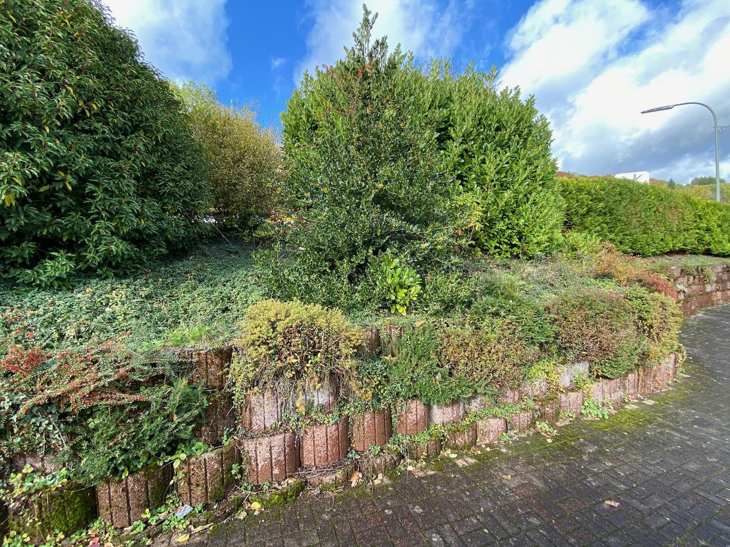 Anlage Garten