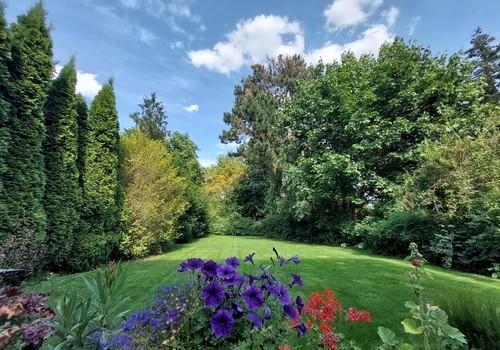 Garten & Park von Terrasse (1)