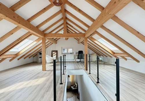 DG Studio