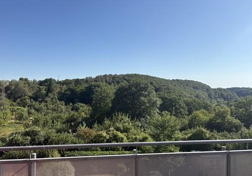 Ausblick 