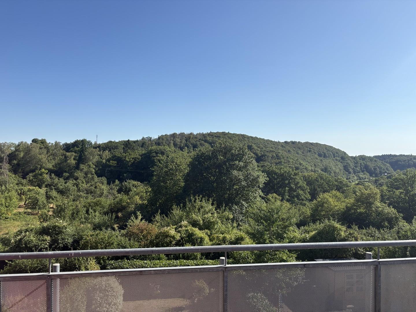 Ausblick 
