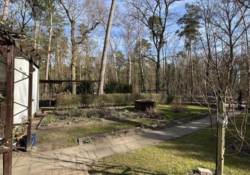 Vorgarten mit Zuwegung