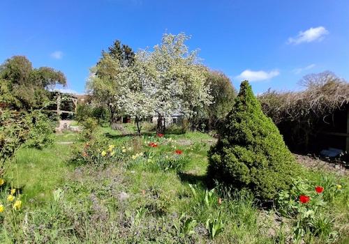Garten