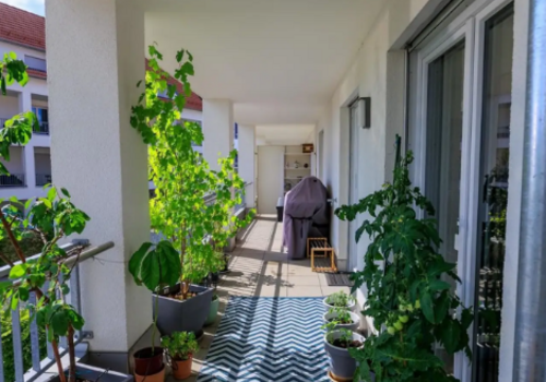 Balkon