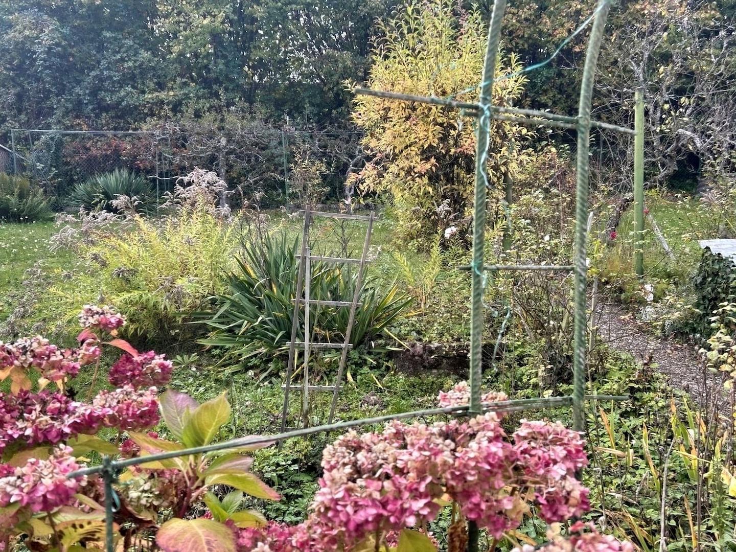 Garten hinter dem Haus