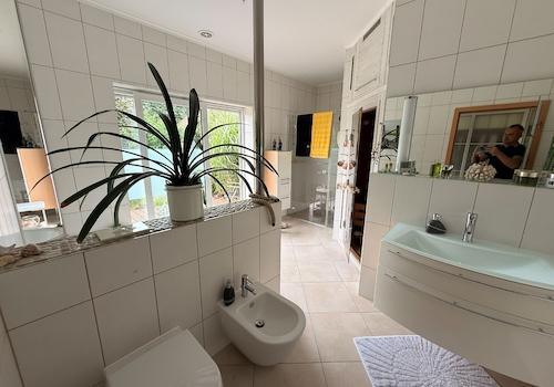 Wellnessbad mit Sauna und Dusche