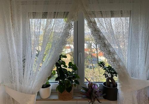 Wohnzimmer4 Fenster nach Süden