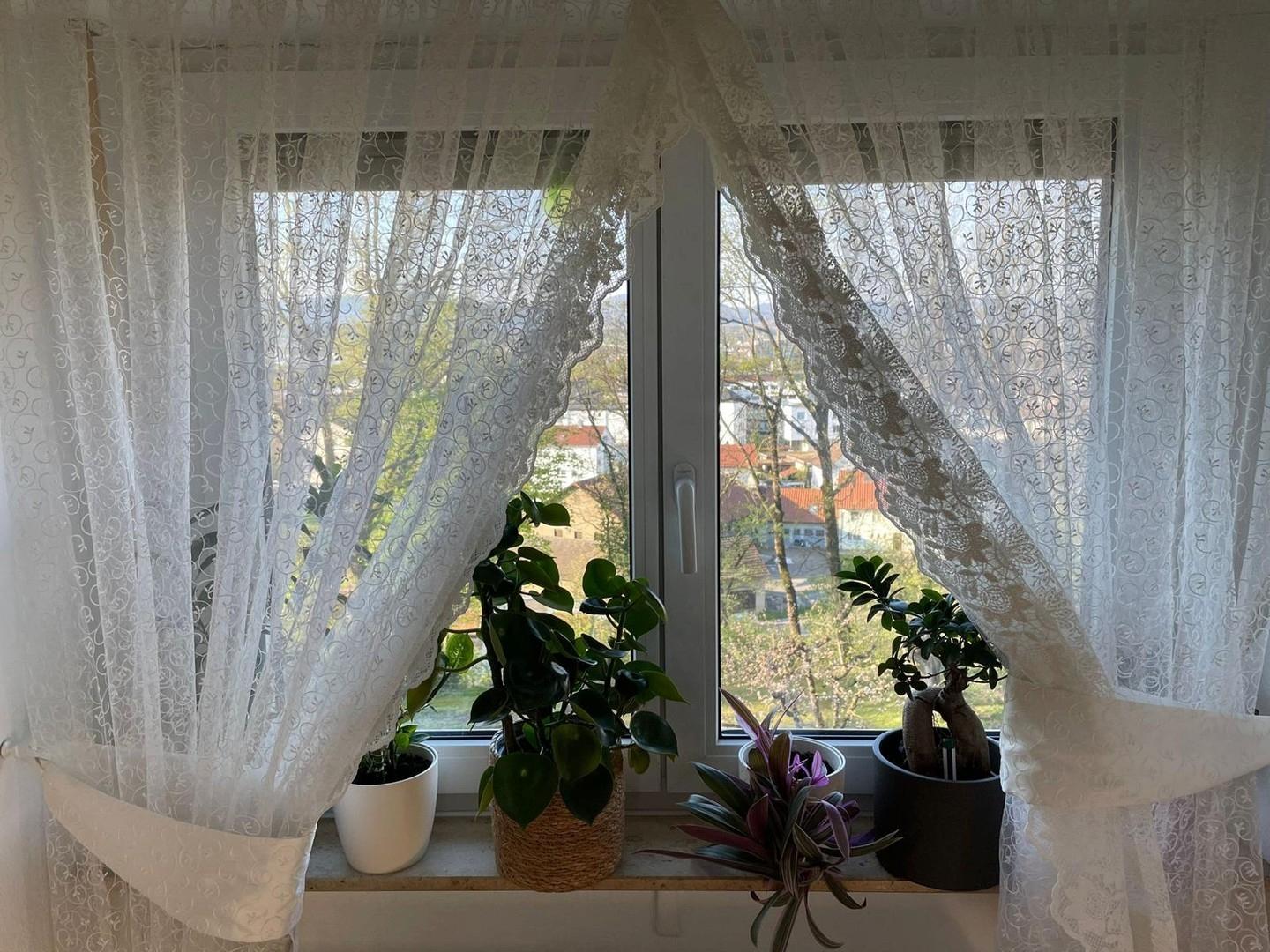 Wohnzimmer4 Fenster nach Süden