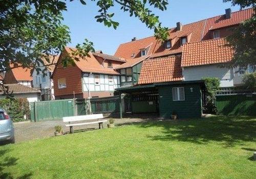 Garten im Sommer