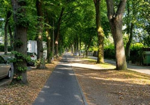026 Allee