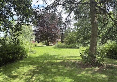 Garten mit Bewuchs