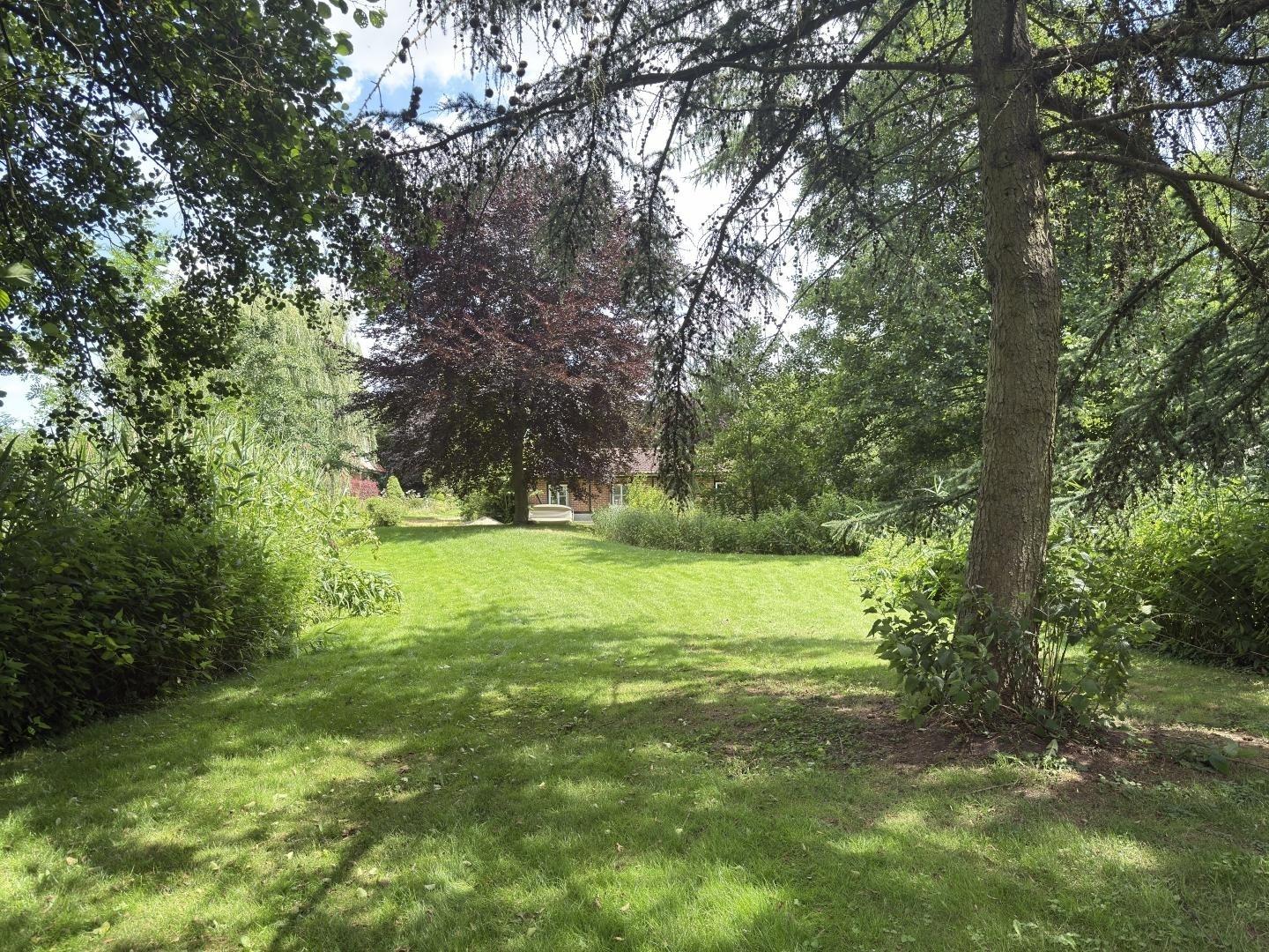 Garten mit Bewuchs
