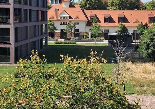 drekter Ausblick