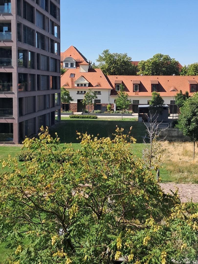 drekter Ausblick