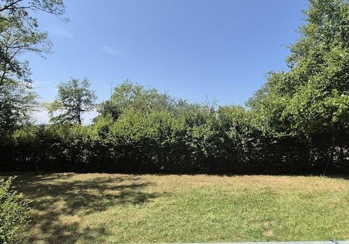 Blick vom Balkon in den Garten