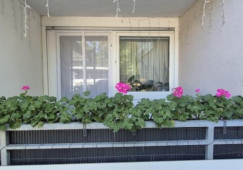 2. Balkon