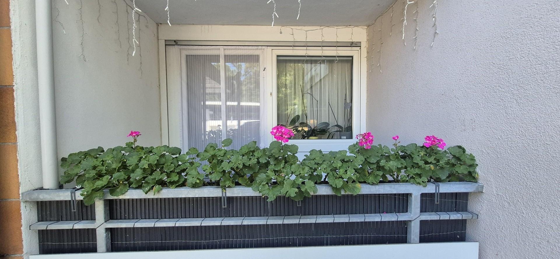2. Balkon