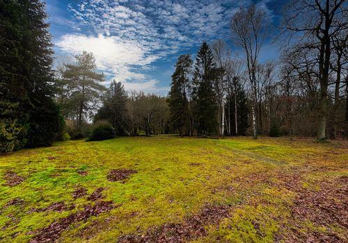 Herrliches Baugrundstück in Kakenstorf
