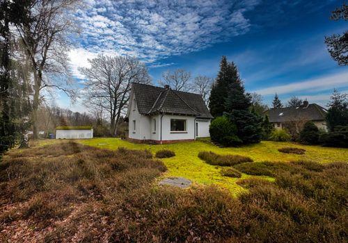 Heidelandschaft im eigenen Garten