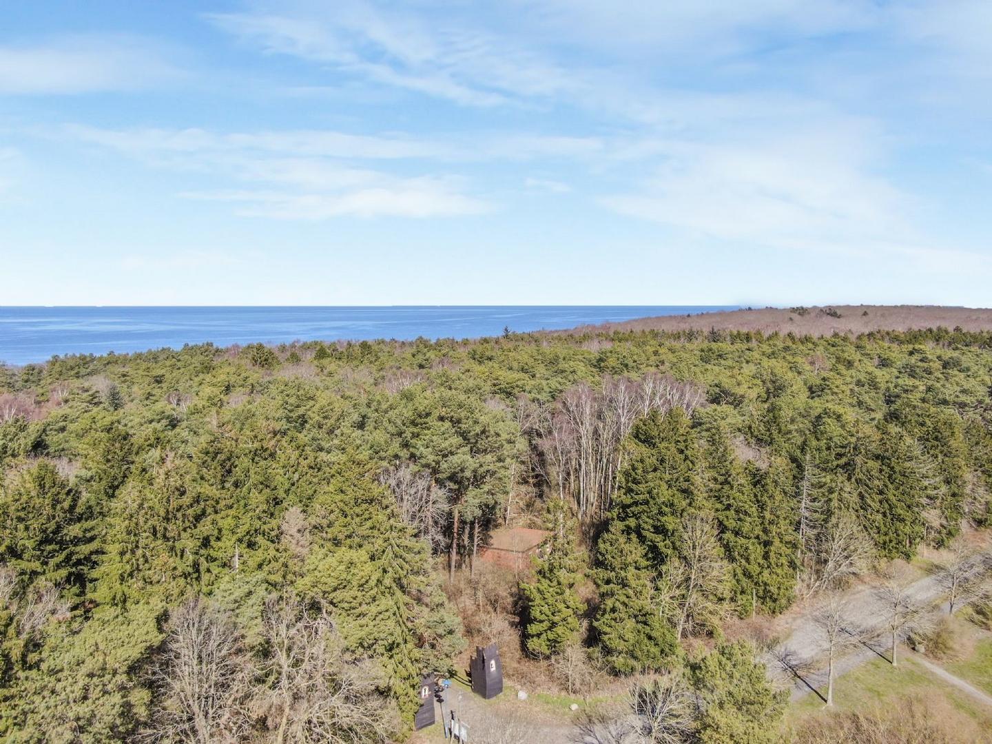Durch den Wald zum Strand