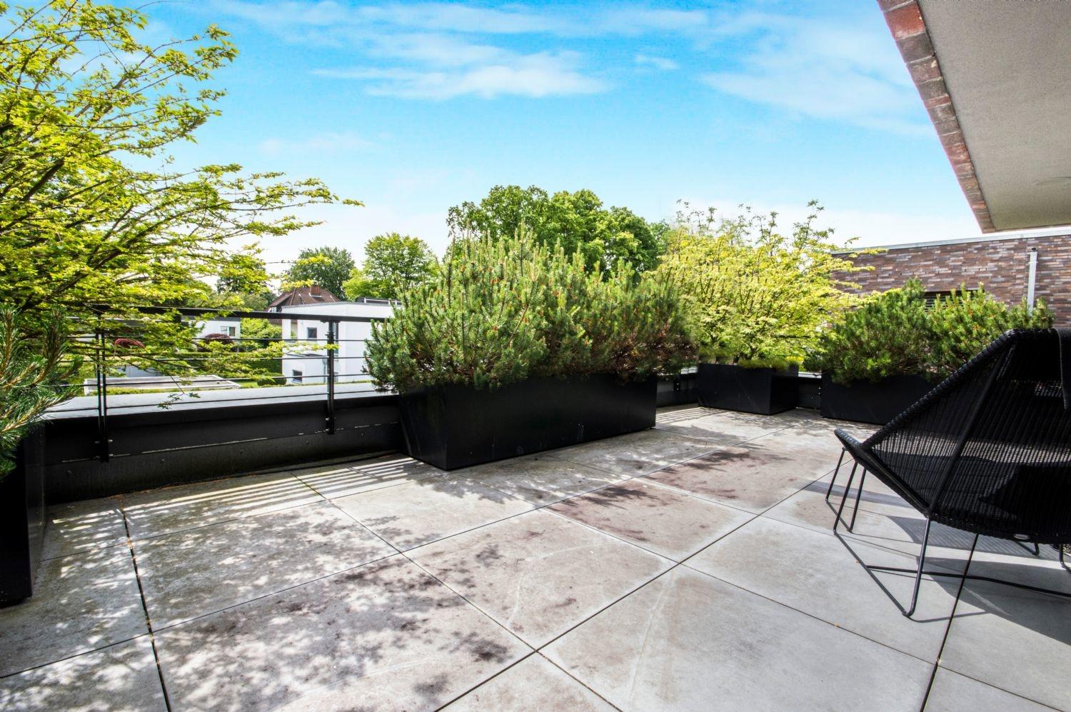 Sonnenverwöhnte Dachterrasse