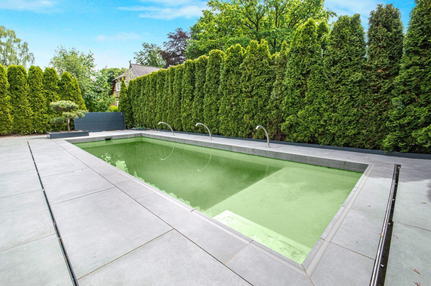 Private Schwimmanlage mit Seitentor