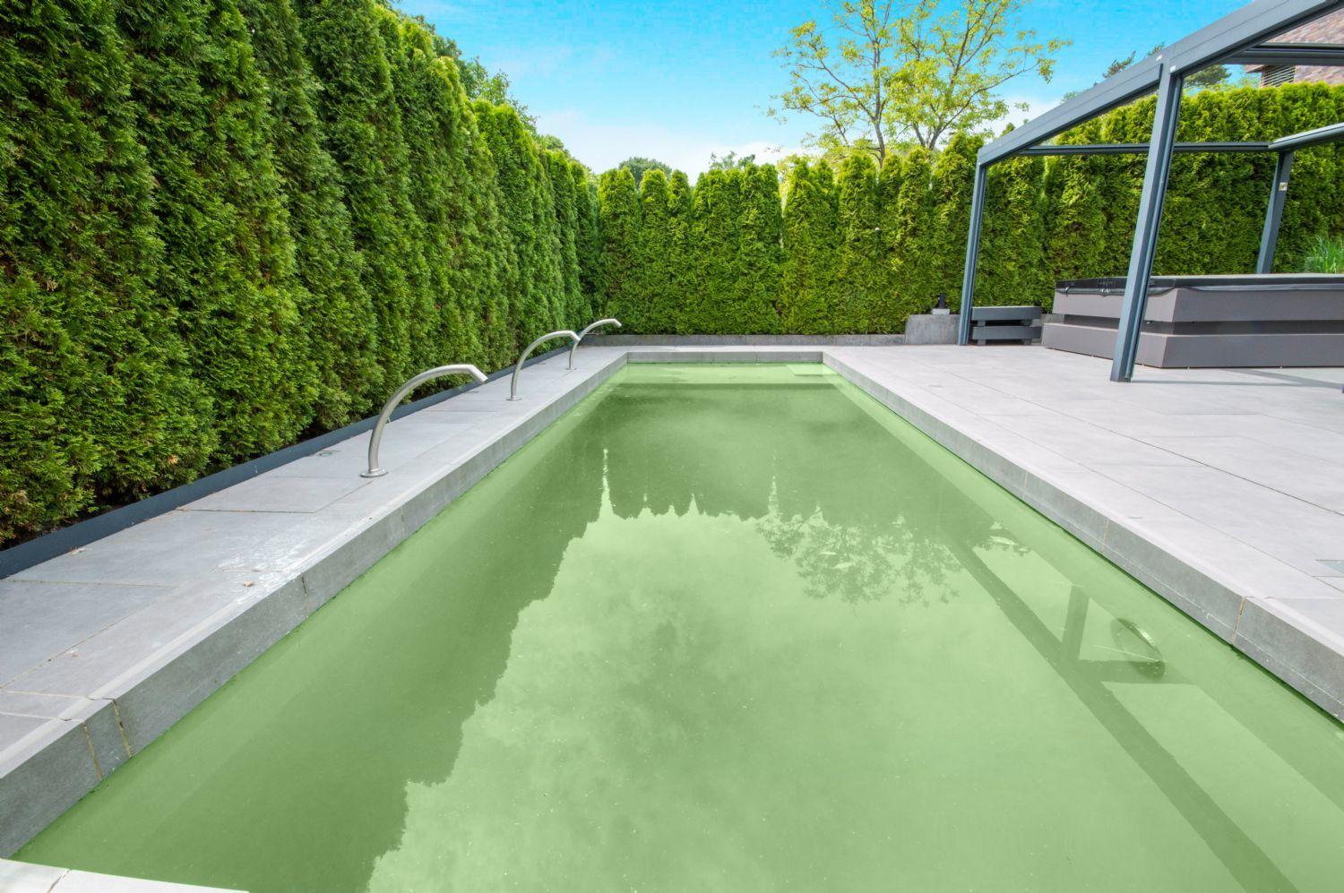Zeitgemäßer u. nachhaltiger Naturpool