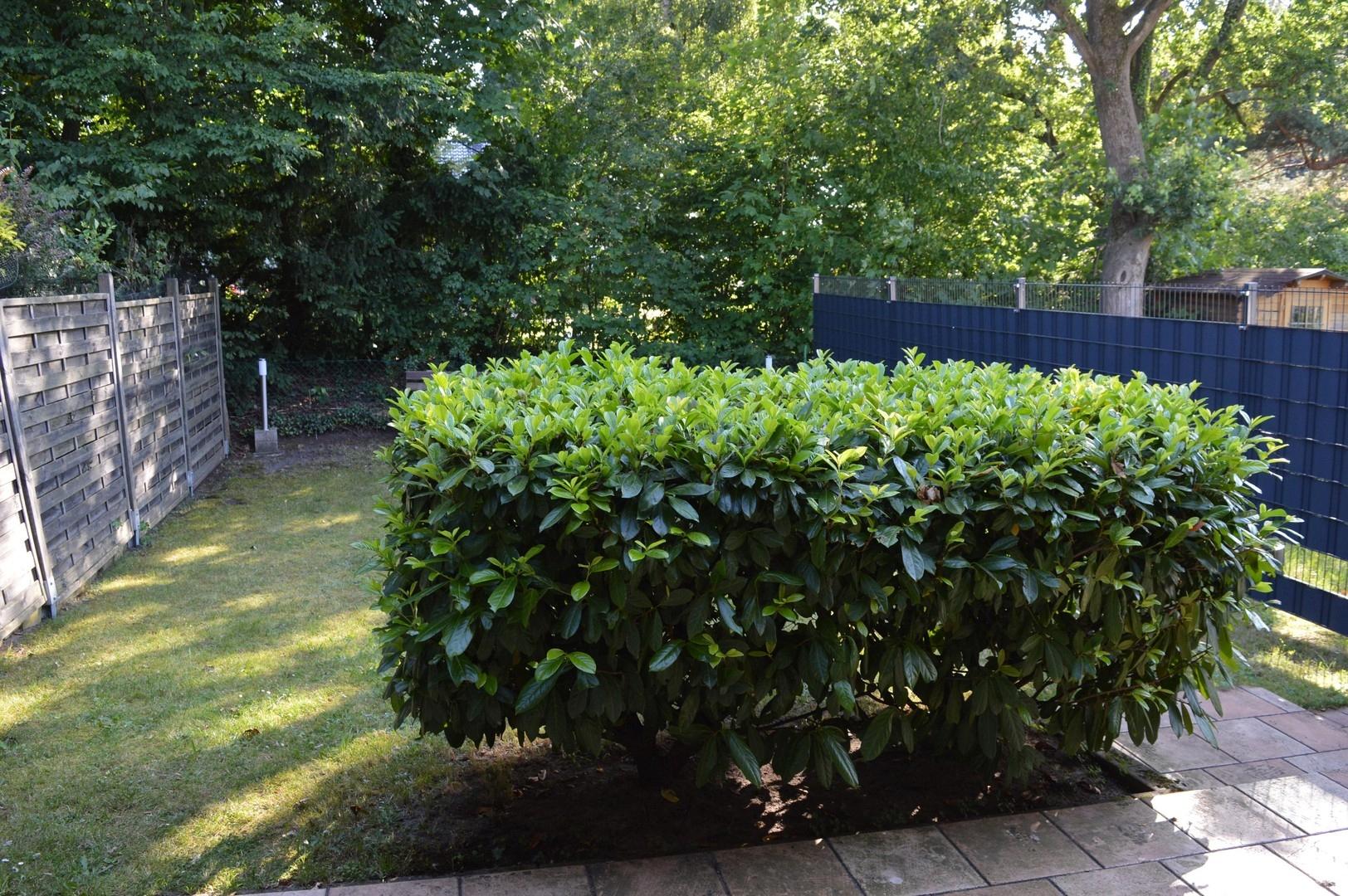 Terrassenblick in den Garten 