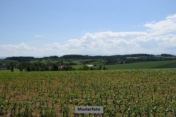 Keine Originalbilder