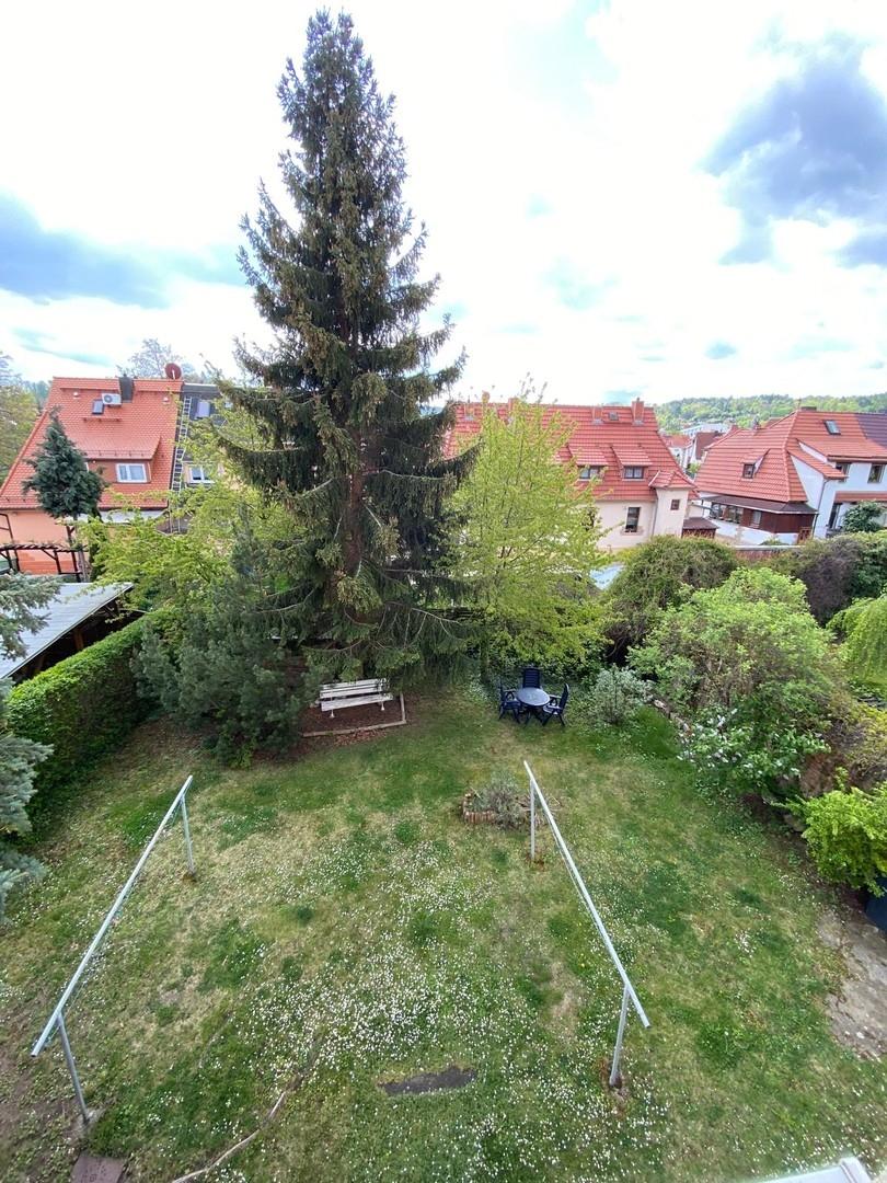 Garten hinterm Haus