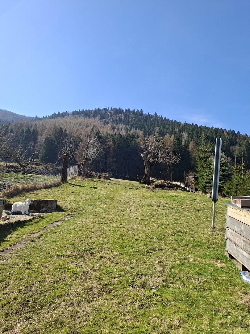Durchgang zum Wald und wiese