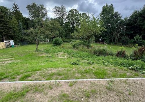 Blick in den Garten