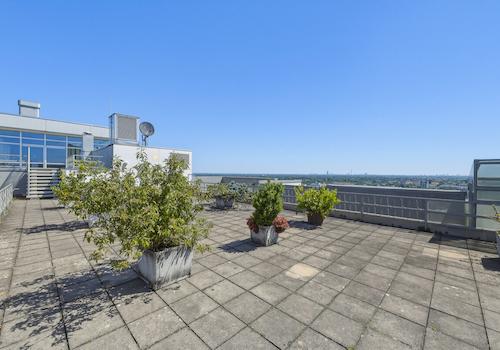Gemeinschaftsdachterrasse mit Panoramablick