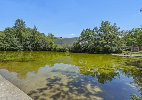 Ramsessee- grüne Idylle direkt vor der Haustür