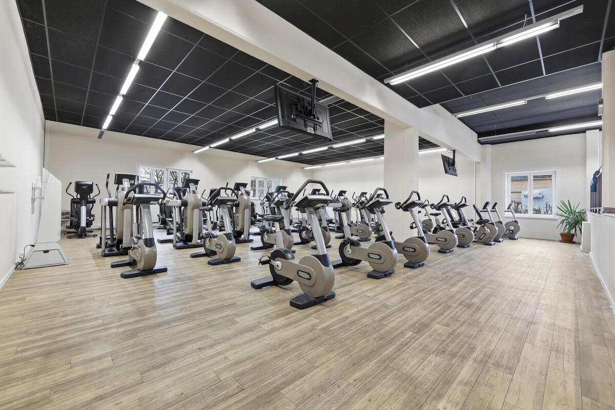 Der großzügige Cardio-Bereich