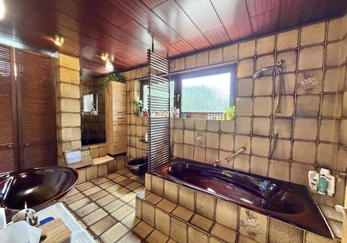 Badezimmer mit Abstellkammer Erdgeschoss