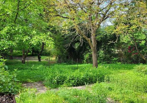 Baugrundstück und Naturgrundst