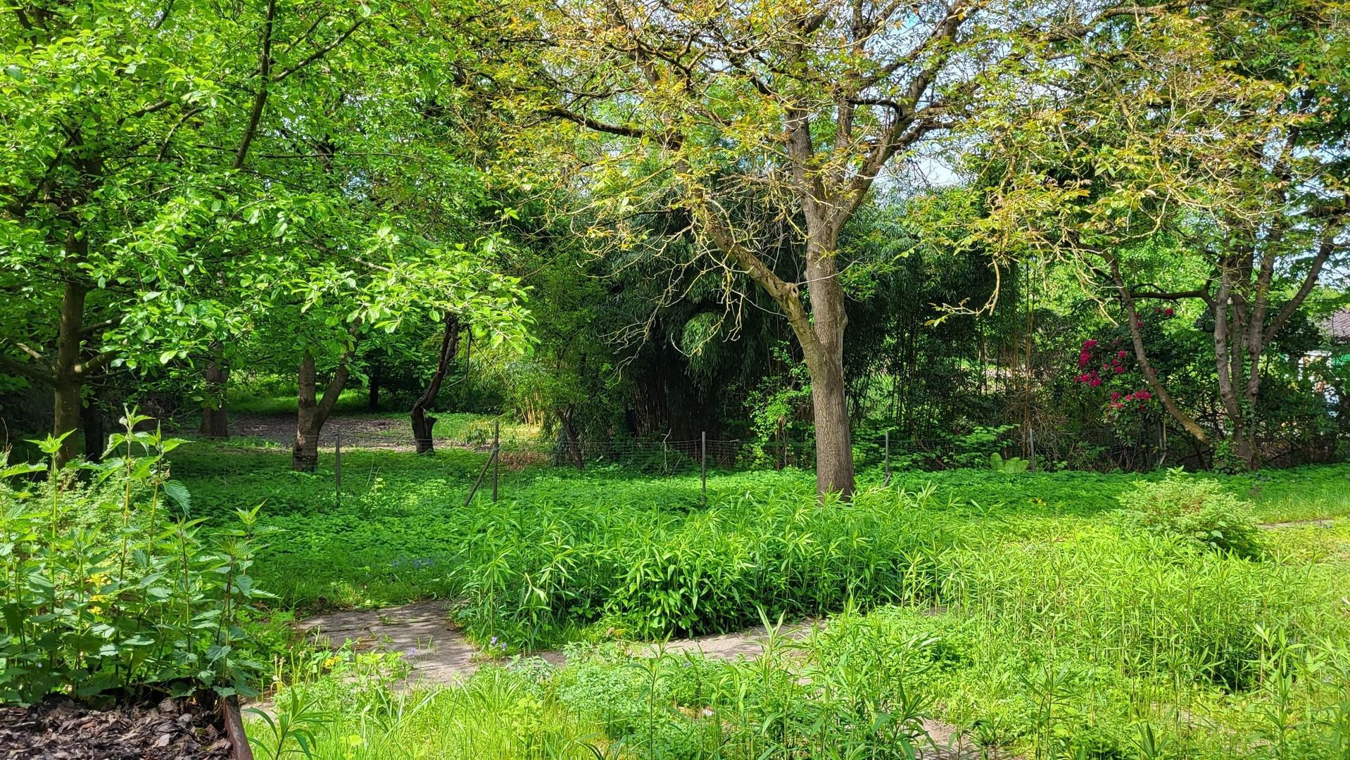 Baugrundstück und Naturgrundst