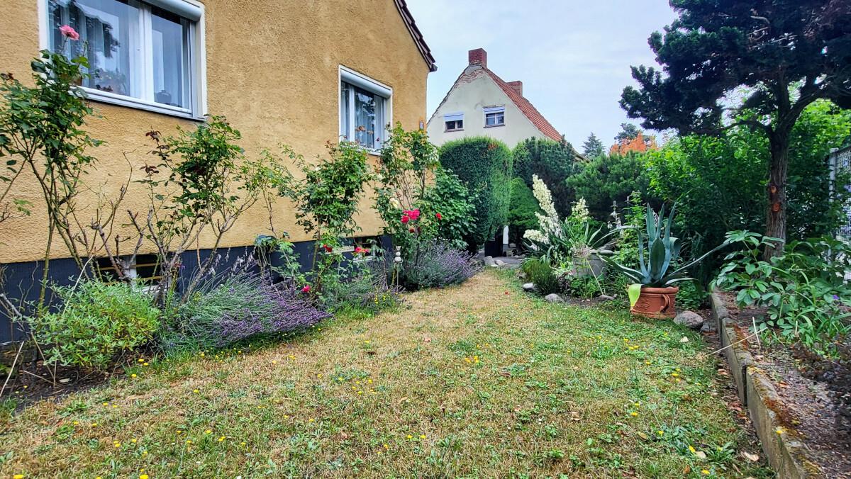 Seitenansicht