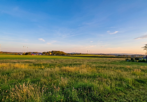 Aussicht von der Terrasse aus