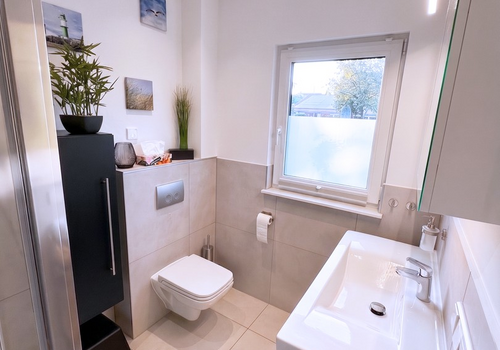Gäste-WC mit Dusche im EG