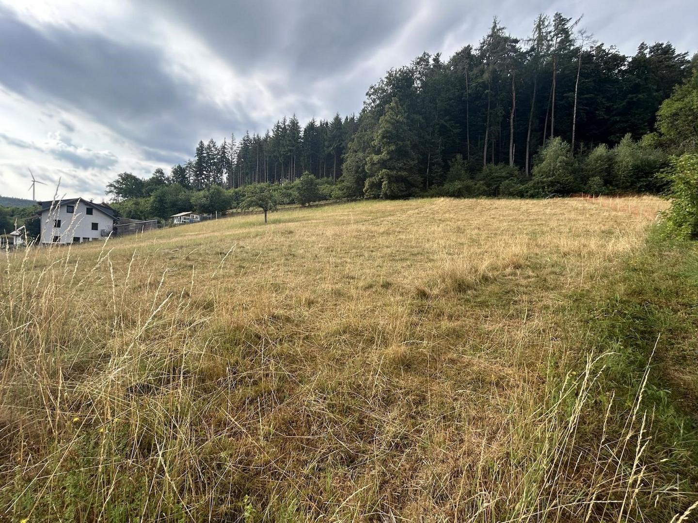 Blick von der unteren Ecke