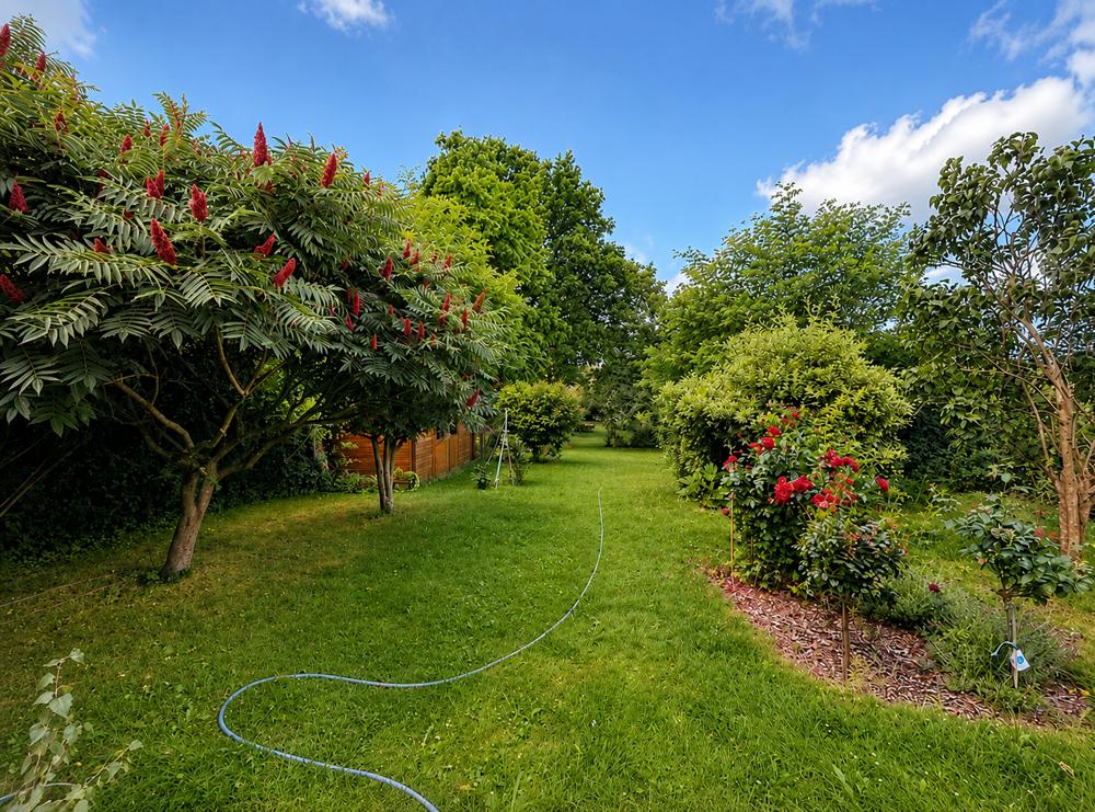 Bild Garten