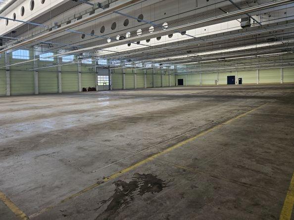 Bild/Grundriss 4