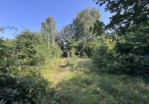 Gartenbereich