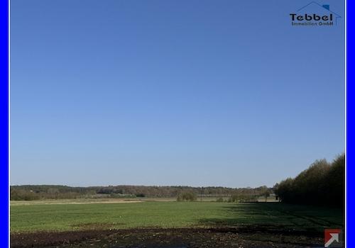 Ackerfläche in Börger
