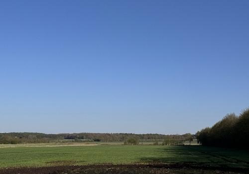 Blick über die Ackerfläche