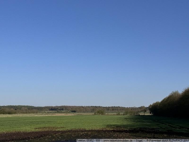 Blick über die Ackerfläche