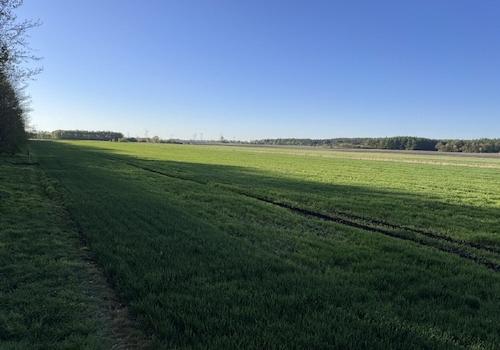 Ansicht I