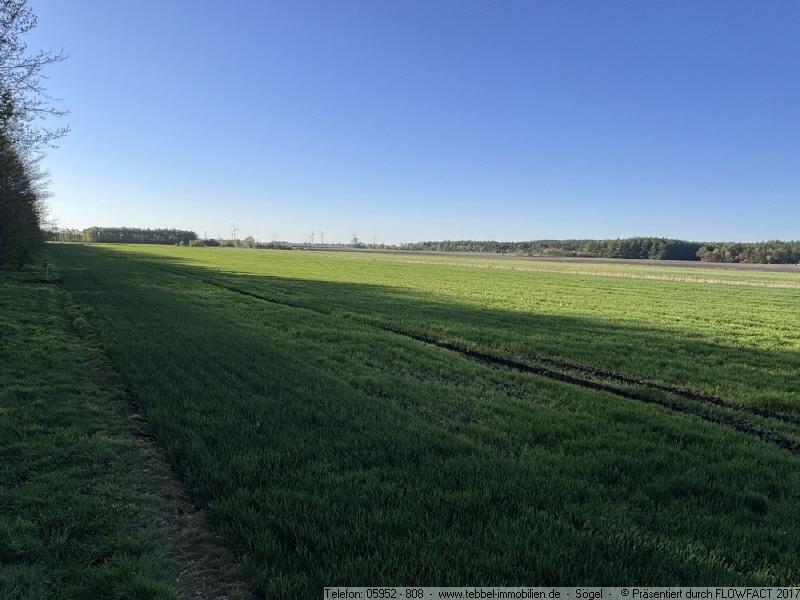 Ansicht I